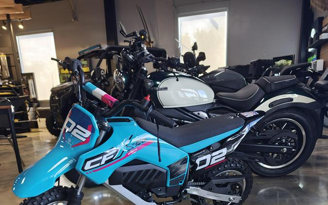 2026 CF1000DY-2 - CFMOTO