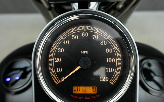 2015 HARLEY DAVIDSON FLSTFB FAT BOY LO