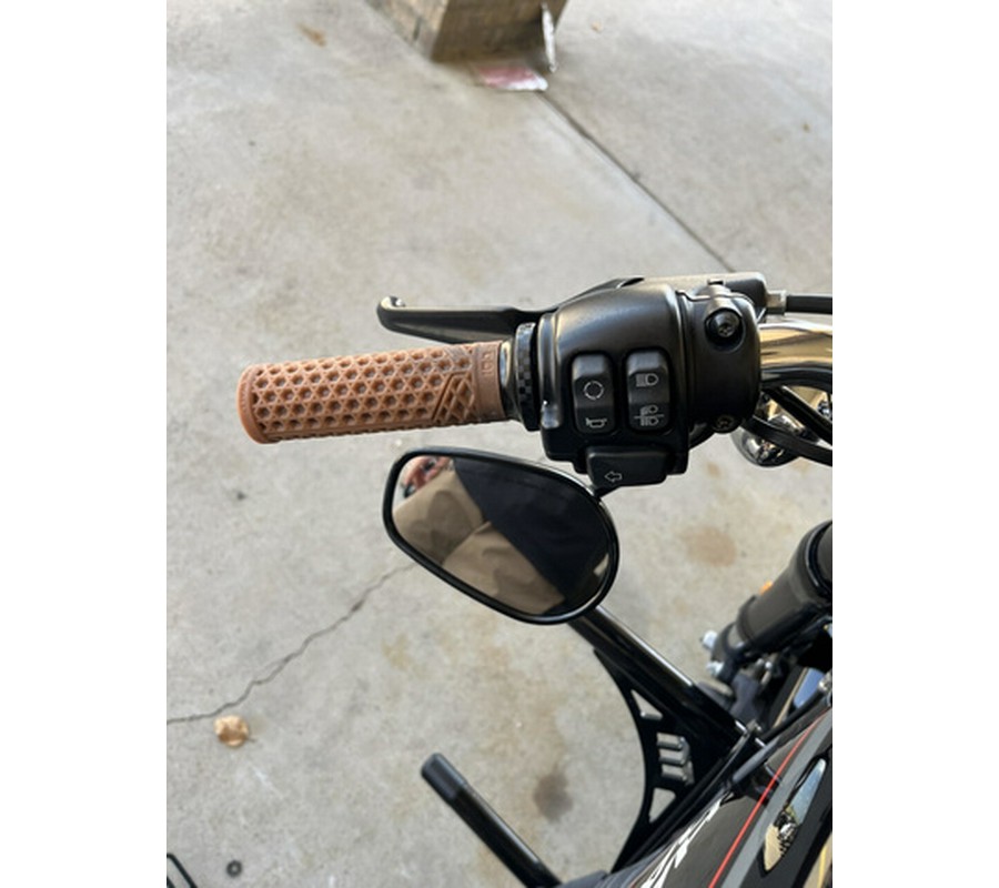 2020 Harley-Davidson Sportster Roadster