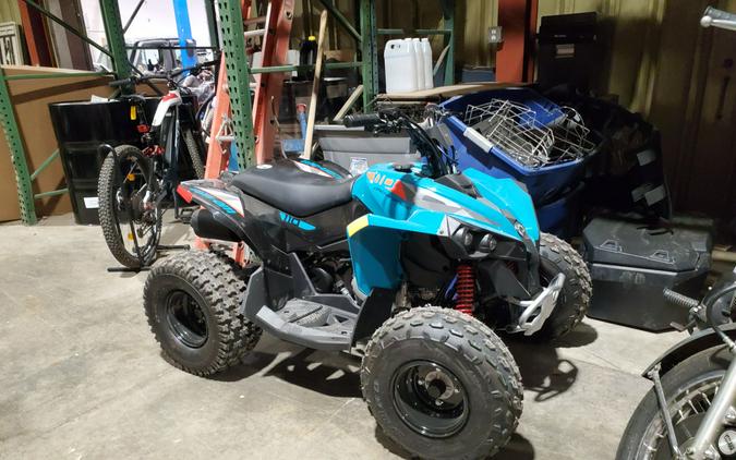 2024 Can-Am Renegade 110 EFI