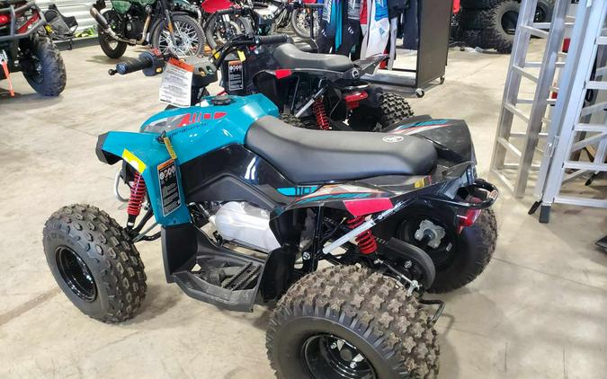 2024 Can-Am Renegade 110 EFI