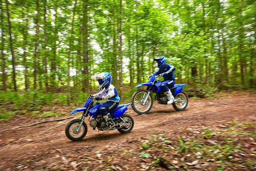 2025 Yamaha TTR230S
