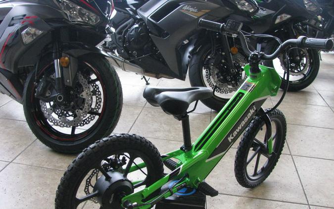 2023 Kawasaki Elektrode