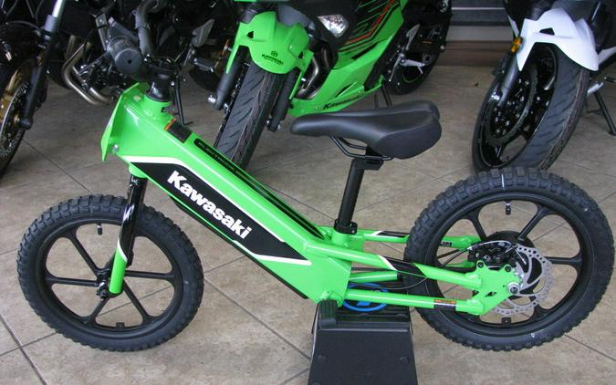 2023 Kawasaki Elektrode