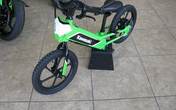 2023 Kawasaki Elektrode