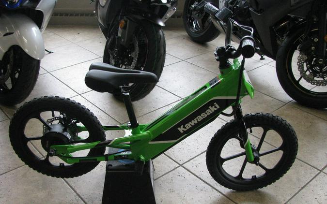 2023 Kawasaki Elektrode