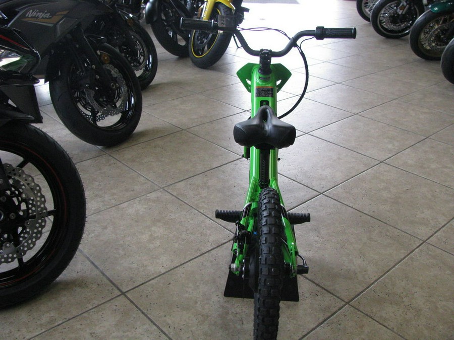 2023 Kawasaki Elektrode