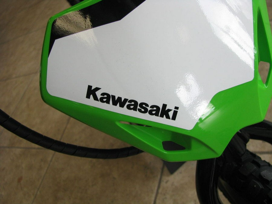 2023 Kawasaki Elektrode