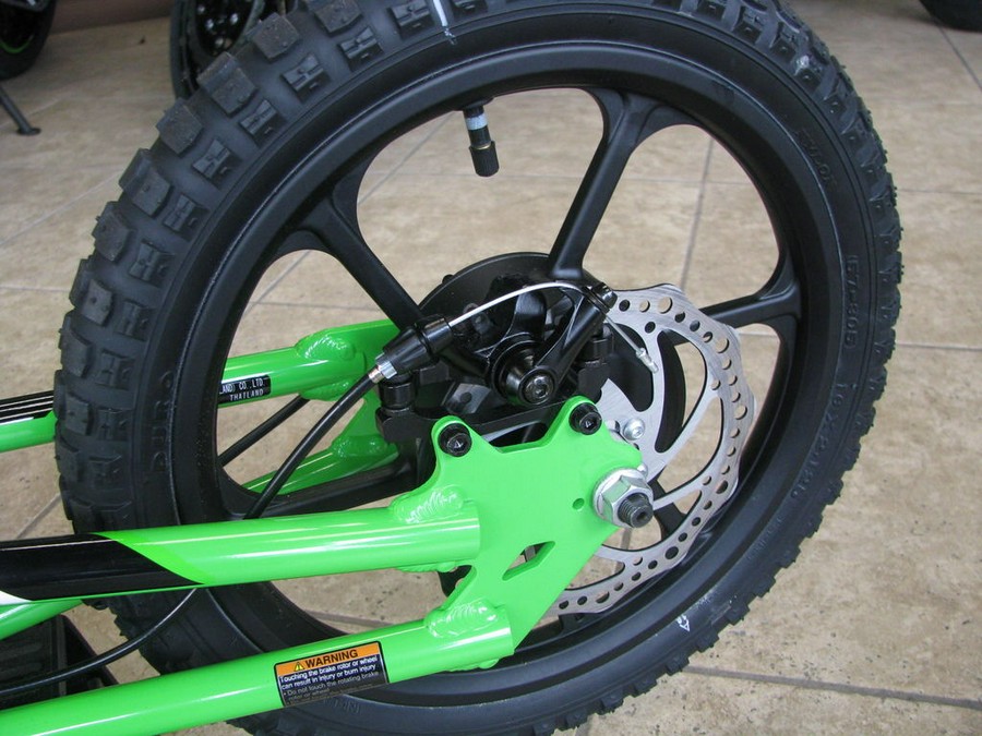 2023 Kawasaki Elektrode