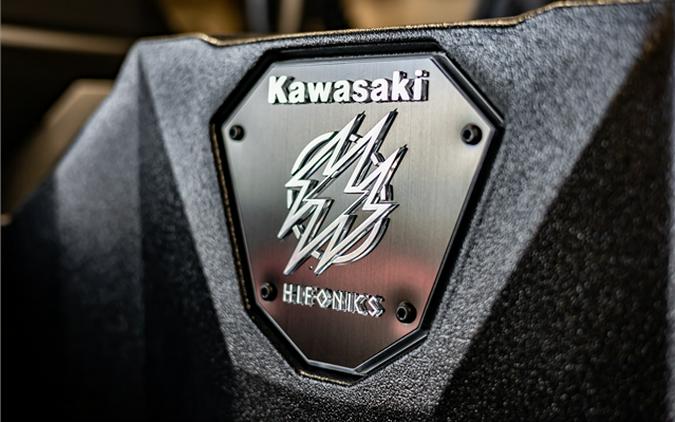 2025 Kawasaki Teryx KRXT 1000 Blackout Edition