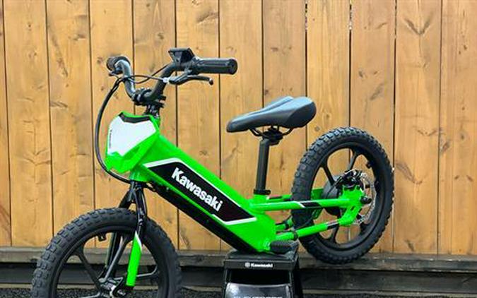 2023 Kawasaki Elektrode