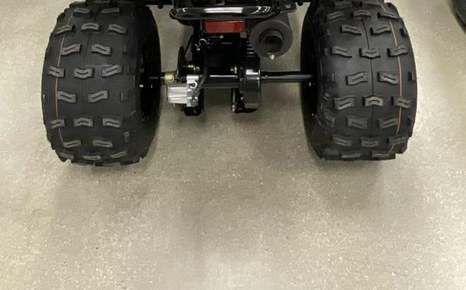 2026 Kawasaki KFX®90