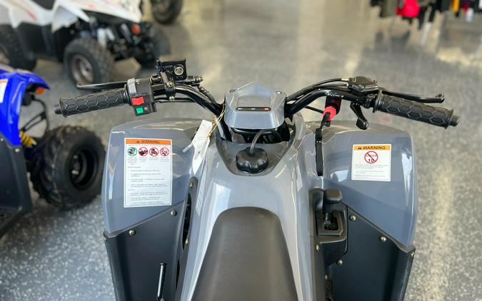 2023 Kymco Mongoose 90S