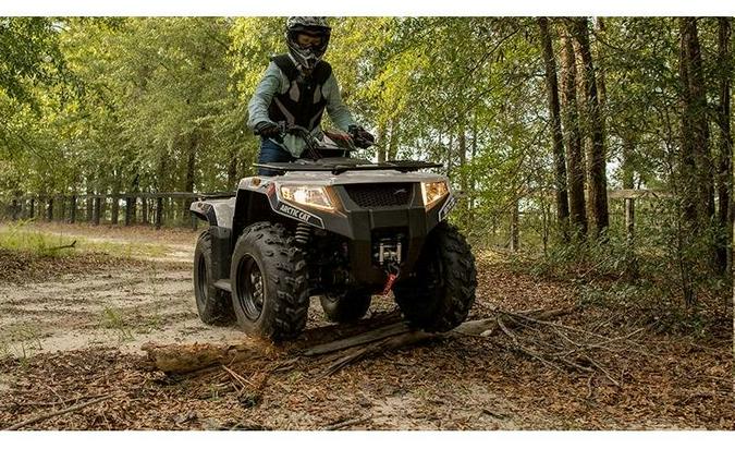 2022 Arctic Cat Alterra 450