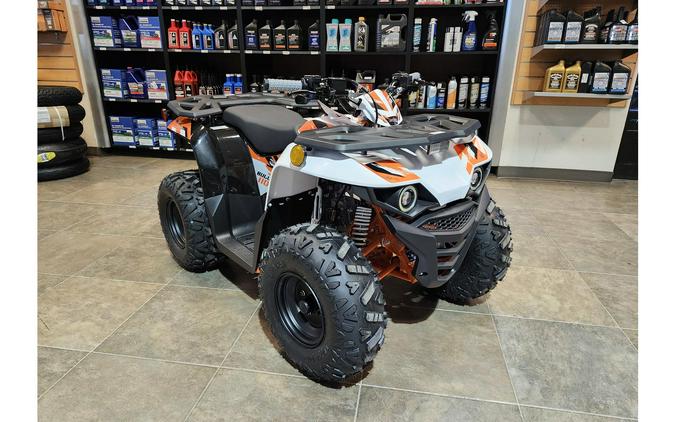 2026 Kayo AU110 BULL