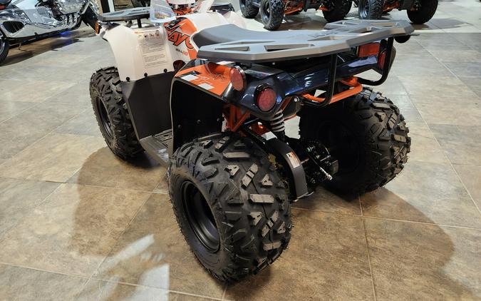 2026 Kayo AU110 Bull 110