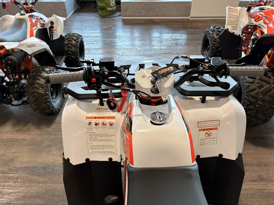 2026 Kayo BULL 110 - 00848