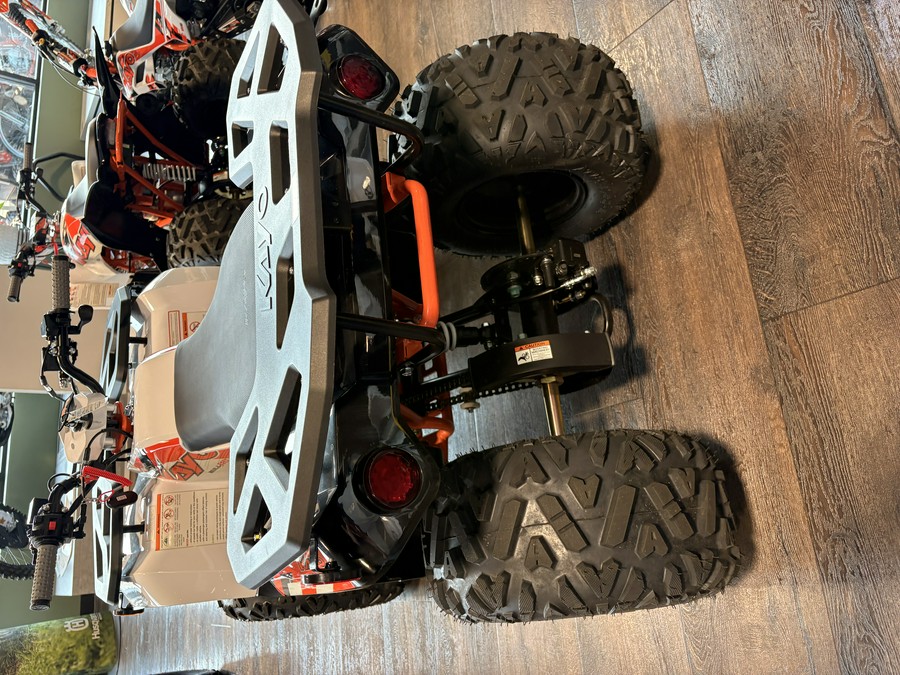 2026 Kayo BULL 110 - 00848