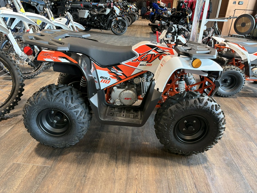2026 Kayo BULL 110 - 00848
