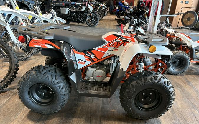 2026 Kayo BULL 110 - 00848