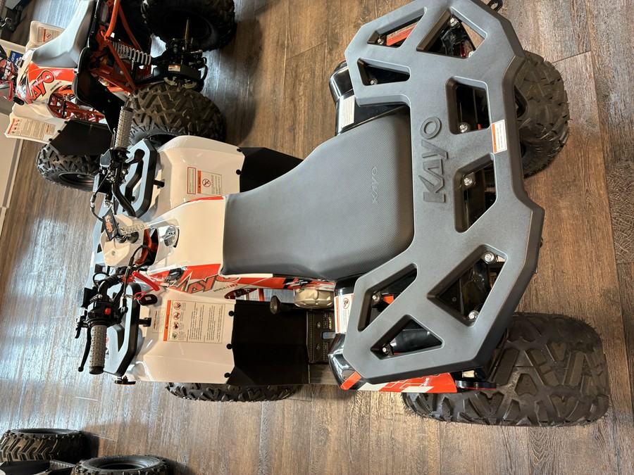 2026 Kayo BULL 110 - 00848