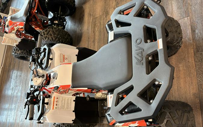 2026 Kayo BULL 110 - 00848