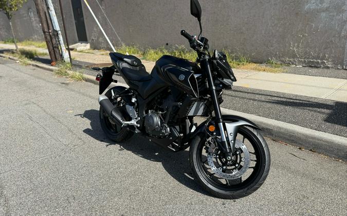 2025 Yamaha Motor Corp., USA MT-03