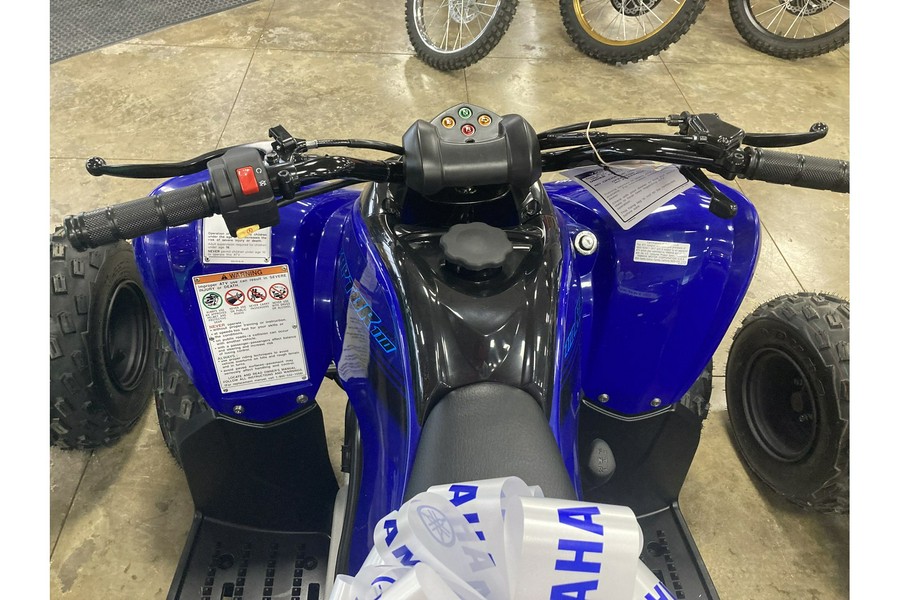 2024 Yamaha RAPTOR 110