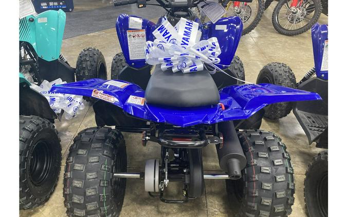 2024 Yamaha RAPTOR 110