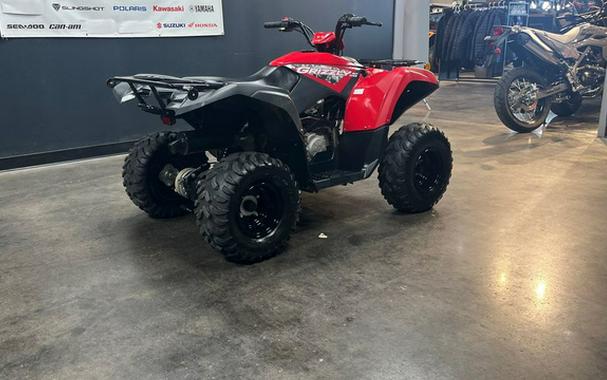 2025 Yamaha Grizzly 110