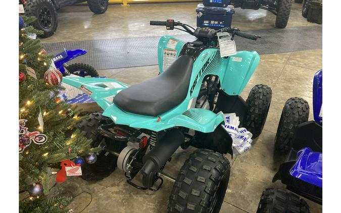 2024 Yamaha RAPTOR 110