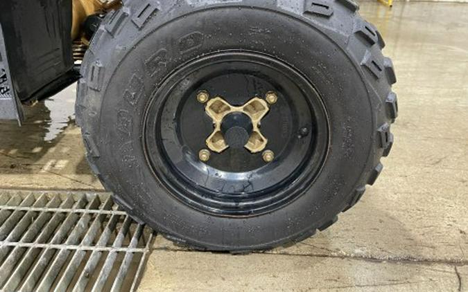 2023 Polaris Phoenix 200