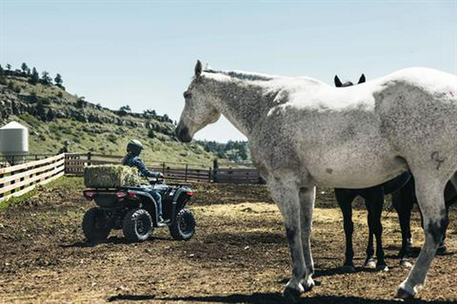 2026 CFMOTO CForce 400