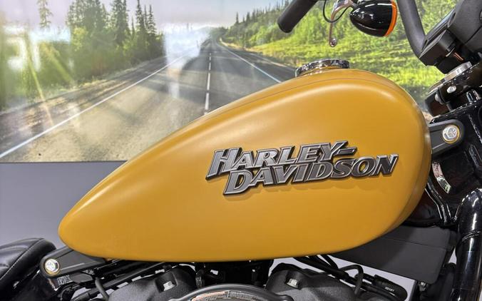 2019 Harley-Davidson Street Bob RUGGED GLD DNM W/PINSTRIPE