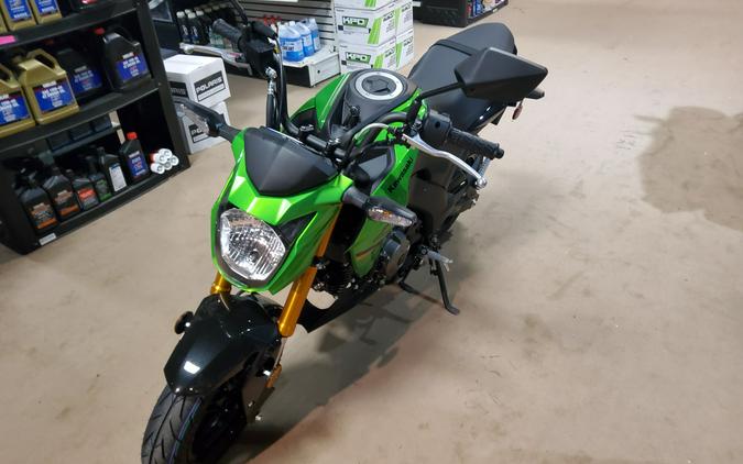 2024 Kawasaki Z125 PRO Base