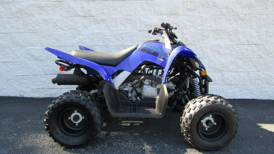 2025 Yamaha Raptor 110