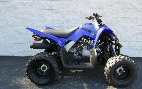 2025 Yamaha Raptor 110