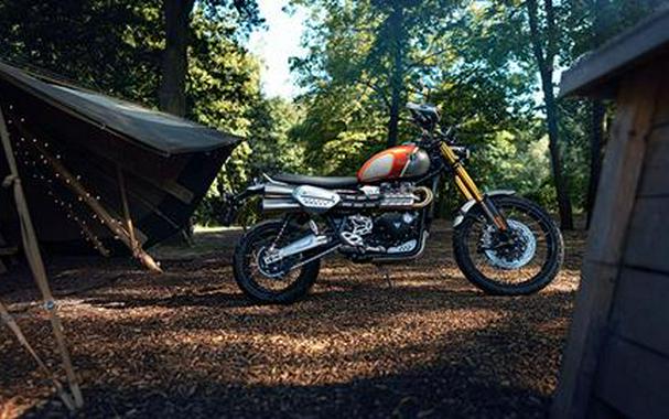 2022 Triumph Scrambler 1200 XE Gold Line