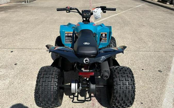 2024 Can-Am® Renegade 110 EFI