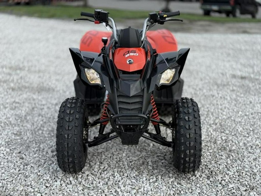 2026 Can-Am DS 250
