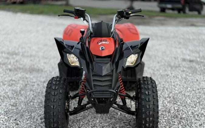 2026 Can-Am DS 250