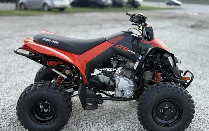2026 Can-Am DS 250