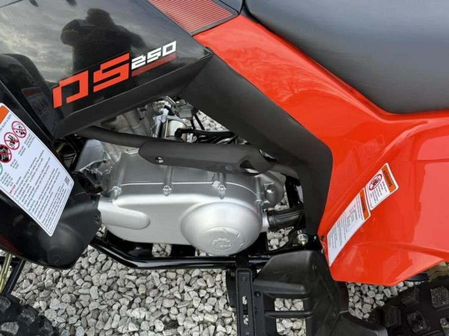 2026 Can-Am DS 250