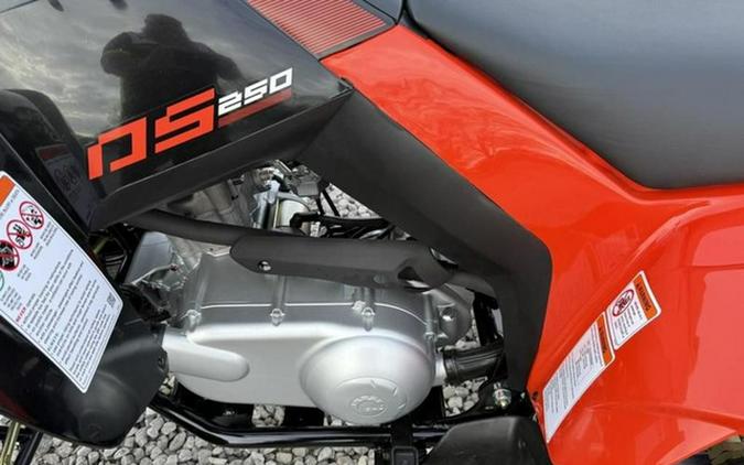 2026 Can-Am DS 250