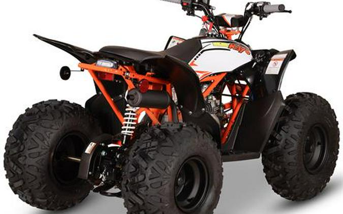 2027 Kayo Storm 110