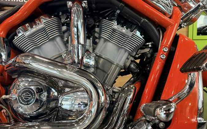 2005 Harley-Davidson VRSCB V-Rod®
