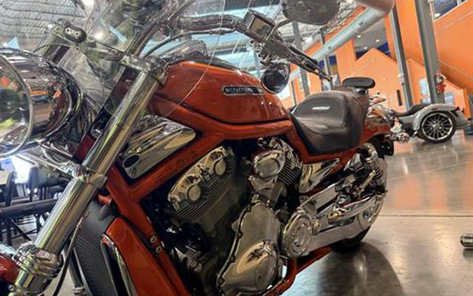 2005 Harley-Davidson VRSCB V-Rod®