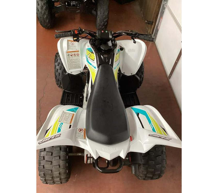 2022 Yamaha Raptor 90