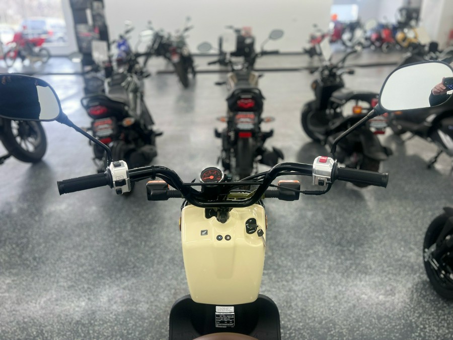 2024 Honda Ruckus