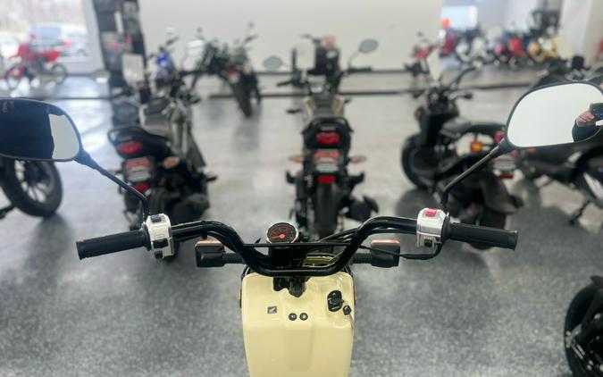 2024 Honda Ruckus